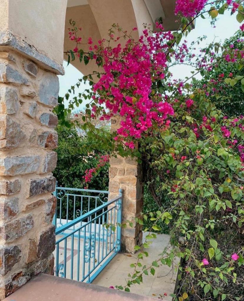 The Kipling Lodge- Nature Kalp Khilchipur  Exterior photo